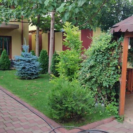 Cazare Buzau Apartment Екстериор снимка