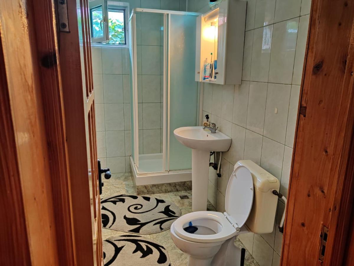 Cazare Buzau Apartment Екстериор снимка