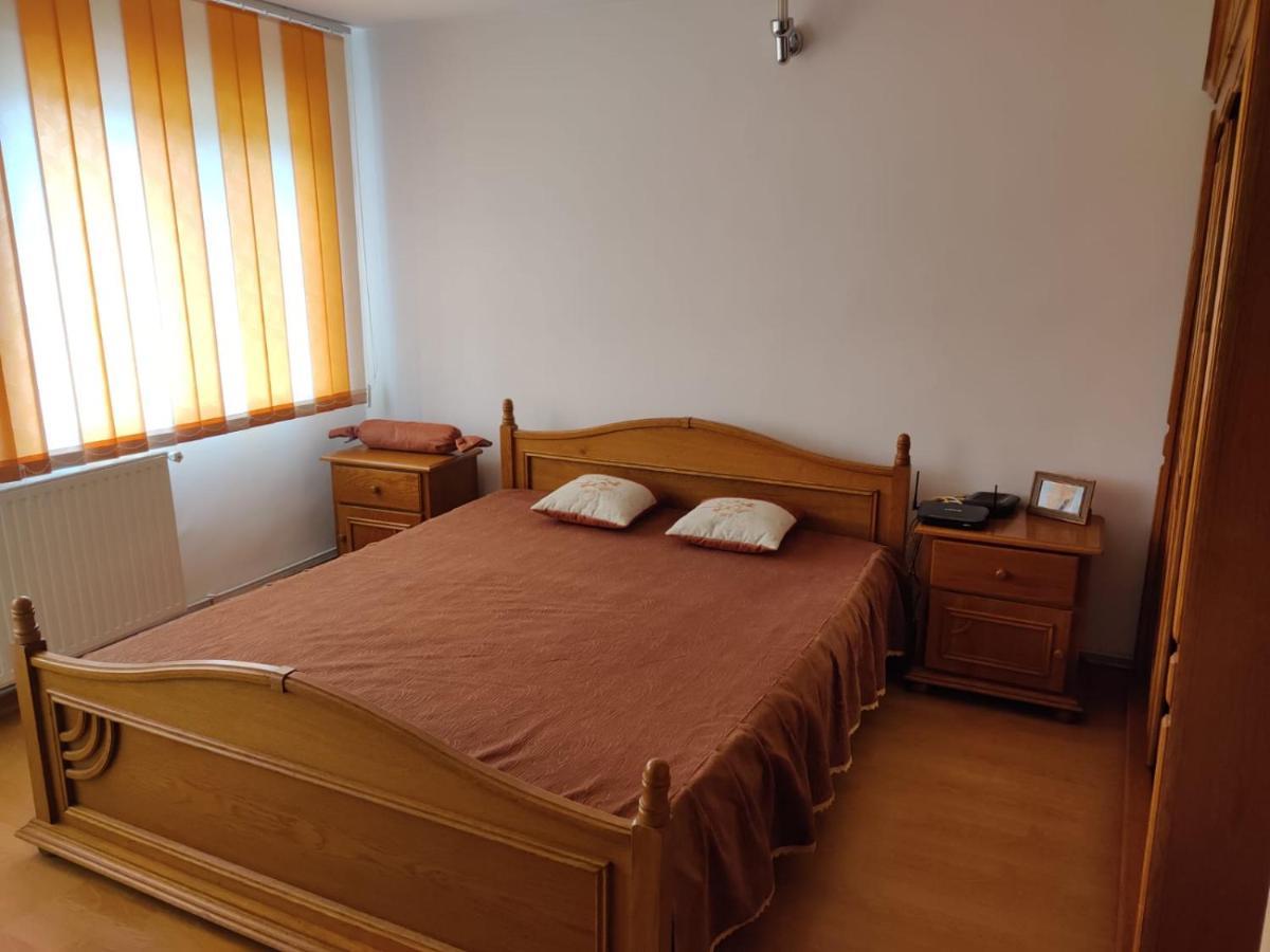 Cazare Buzau Apartment Екстериор снимка